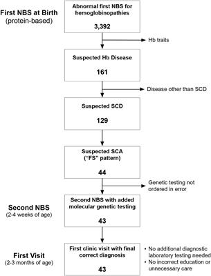 Clinical Utility of the Addition of Molecular Genetic Testing to Newborn Screening for Sickle Cell Anemia